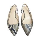 Everlane The Editor Slingback Flats snake skin snakeskin pointed toe shoes 51/2 Photo 2