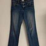 Loft Straight Legs Jeans NWT Photo 0