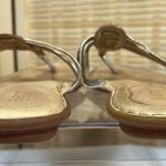 Born Shoes Born Flip Flops, Size: 9 🩴 Photo 4