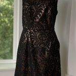 Forever 21 Vintage Y2K F21 Black Lace Gold Metallic Structured Party Dress Medium Photo 0