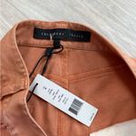 NWT Theyskens’ Theory Silk Flare Leg Bootcut Pants *FLAW | Peach Smoke | 26 Orange Photo 7