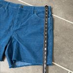 Carve Designs  Oahu 6” Corduroy Shorts size 14 Photo 4