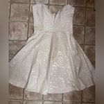 Windsor Large  Strapless Plunge Neck Ivory Rosette Embossed Dress. NWT Photo 0