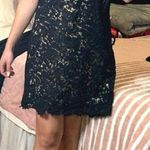 Blu Pepper Black Lace Dress Photo 0