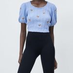 ZARA  | Puff Sleeve Embroidered Blouse Photo 8