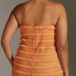 Anthropologie Let Me Be Fringed Tube Mini Dress Photo 8