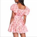 Love Shack Fancy  x target Cecile pink ruffle dress size 12 Photo 1
