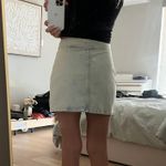 ZARA Skirt Photo 1