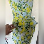 1901 NWOT Lemon print linen dress Photo 5