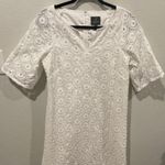 Adrianna Papell Antique White Crochet Lace Mini Dress Photo 0
