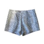 Altar'd State Altar’d State Medium Snake Skin print Shorts Photo 1