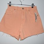 Urban Outfitters  Shorts Photo 0