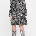 ZARA  Black Cream Leopard Animal Print Long Sleeve Ruffle Mini A-line Dress XS Photo 0