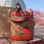 Coach Mini Dempsey Bucket Bag In Signature Canvas With Wild Strawberry CH164 Photo 0
