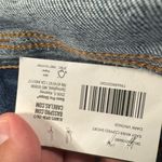 Natural Reflections NWT  Easy River Shorts Lightly Distressed Women's Plus Size 18 Photo 7