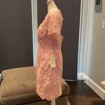 Women’s Pale Pink Lace Appliqué Short Sleeved Dress Size NWT Size L Photo 7