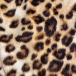 Charter Club  Pajama Dress size L brand new with tag so soft length 35” bust 38” Photo 11