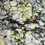 Women's Abstract Print Fringe Lightweight Summer Scarf Size O/S Artsy Colorful Green Photo 2