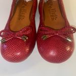 Amanda & Chelsea Amanda Women’s Ballet Flat Shoes made by hand, red snake skin print Photo 2