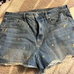 American Eagle Shorts Photo 0