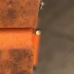 Guess Women Orange Spell Out Logo Ankle Strap Espadrille Sandal Shoe Photo 1