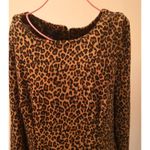 Spense Round Neck Leopard Pattern Shift Dress 10 Animal Print Corporate Siren Brown Photo 4