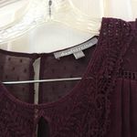 Daniel Rainn FINAL MARKDOWN Ladies  top small Photo 4