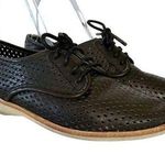 Rollie Australia Derby Punch Black Perforated Leather Lightweight Oxford Shoes Photo 0