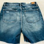 Judy Blue  Distressed Denim Jean Shorts Photo 4