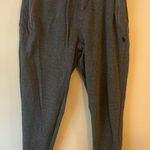 Ralph Lauren Polo  Sweatpants Grey Photo 0