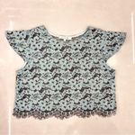 Alexis Tovi Sheer Lace Cropped Top Photo 84