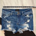 🖤Buckle Black Distressed Jean Shorts•Size:26🖤 Blue Photo 1
