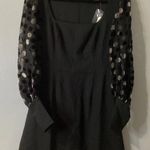 Hutch Fit and Flare Dress Size 4 Black NEW Swiss Dot Sleeve Party GNO Anthro Photo 0