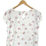 Zenobia  Cream Floral Short Sleeve Blouse size 2X NWT Semi-sheer Summer Top Photo 3