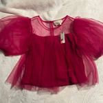 Anthropologie Sheer Puff Sleeve Crop Top Photo 0