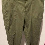 Terra & Sky  22W Green Denim Capris EUC Photo 0