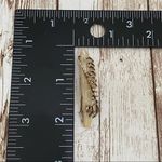 Vintage Mother of Pearl “Emelia” Name Plate Brooch White Photo 9