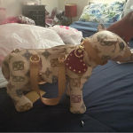 new rare‎ sharif rocky the dog purse​ Photo 6