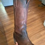 FREEBIRD by Steven Falcon Photo 2