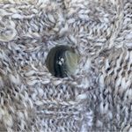 J.Jill Chucky Petite Knitted Wool Alpaca Blend Cardigan Sweater Size Small Photo 7