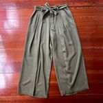 Eileen Fisher Heavy Tencel Twill Tie Waist Wide Leg Olive Pants - Sz 12 Photo 9