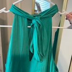 Naked Zebra Dress Photo 2