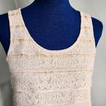 J.Crew Blush Silk Lace Ribbon Tank Top Photo 1