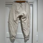 ALBION FIT  At Ease Joggers in Birch Photo 3