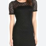 Three Dots NWT  Angelina Mesh Overlay Dress Size XL Photo 0