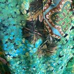 Olive Hill Floral Print Blouse Green Blue Lace Up Neck Long Sleeve Top Size M Photo 6