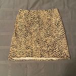 Brandy Melville Leopard Phoebe Skirt Photo 0