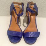 Coach Lexey Leather Snakeskin Chunky Open Toe Sandals Deep Marine Blue Size 8 Photo 1