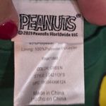 Peanuts Snoopy Woodstock light Photo 4