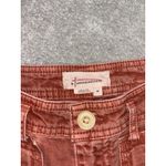 Anthropologie  Orange Rust Carpenter Pant 26 striped pattern Photo 2